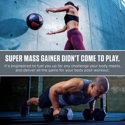 Super Mass Gainer Protein Powder, Rich Chocolate, 52G Protein, 1G Creatine, 1280 Calories, 10.7G Bcaas, 245G Carbs, Contains Whey Protein Powder, Isolate, and Casein (8 Servings)